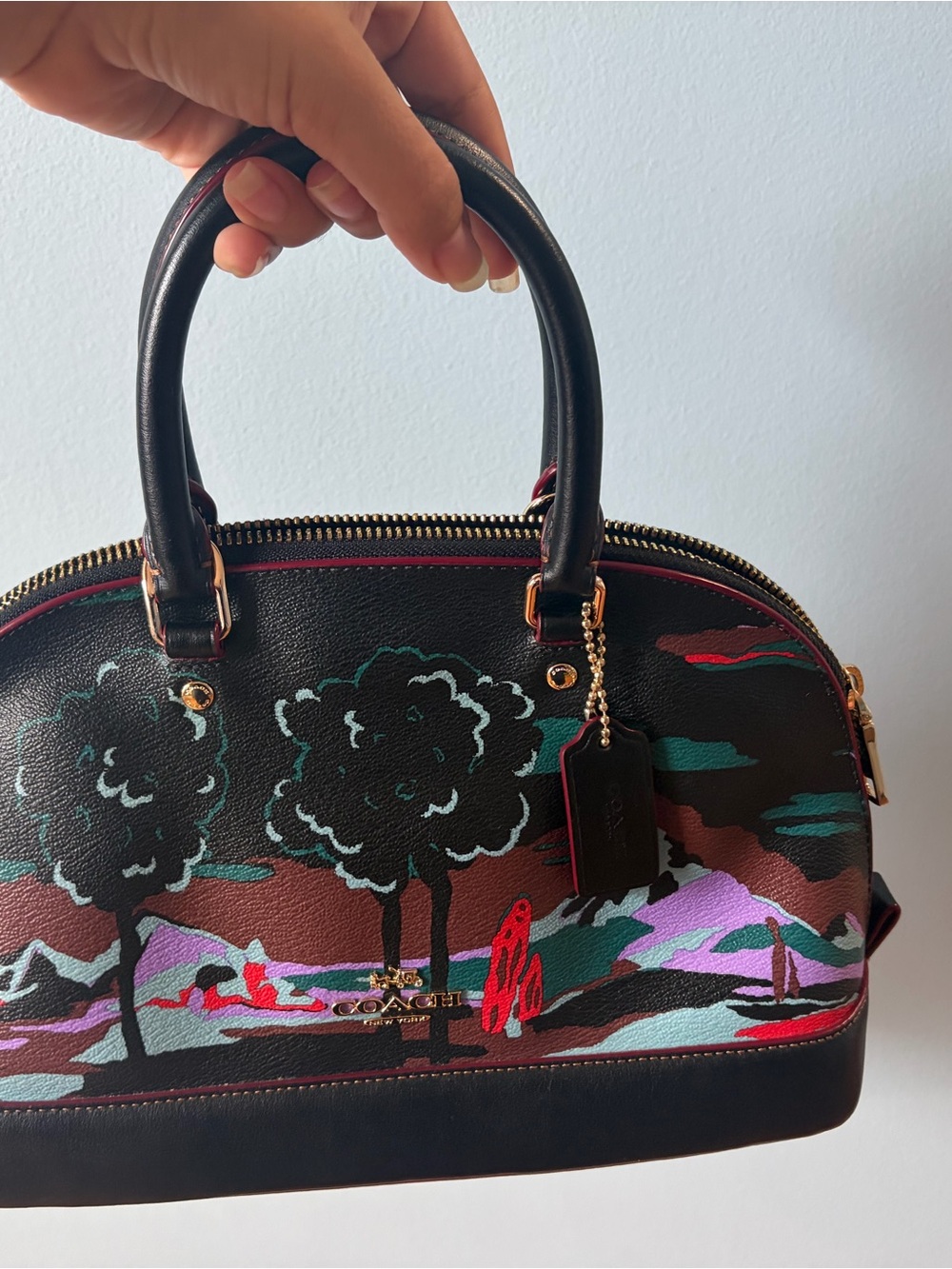 Coach Mini Sierra Bag EUC